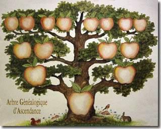 arbre-genea-5g-pomme.jpg